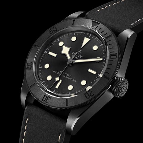 tudor black bay watch.